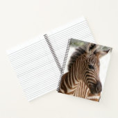 Spiral Notebook Zebra Notizblock (Innenseite)