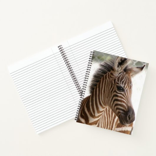 Spiral Notebook Zebra Notizblock (Innenseite)