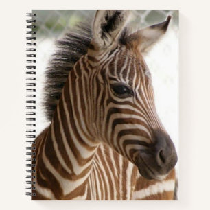 Spiral Notebook Zebra Notizblock