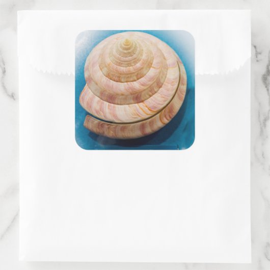 Spiral Seashell Quadratischer Aufkleber (Tasche)