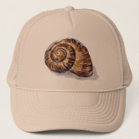 Spiral Snail Muschel