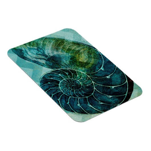 Spiral Turquoise Conch Muschel Magnet (Rechte Seite)