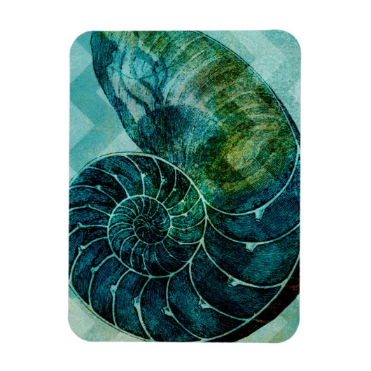 Spiral Turquoise Conch Muschel Magnet (Vertikal)