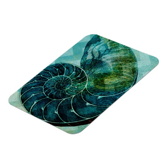Spiral Turquoise Conch Muschel Magnet (Linke Seite)