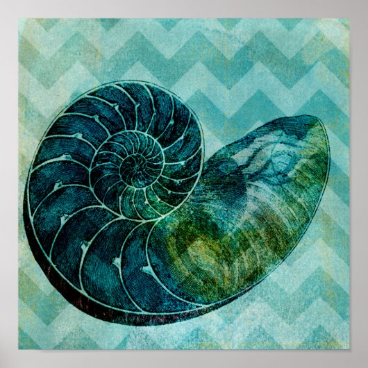 Spiral Turquoise Conch Muschel Poster (Vorne)