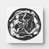 Spiralabstieg Fotoplatte (Vorderseite)