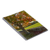 Spiralblock Herbst an der Steinmauer Notizblock (Rechte Seite)