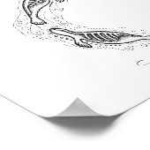 Spirale des Siegels Kunstdrucks Poster (Ecke)