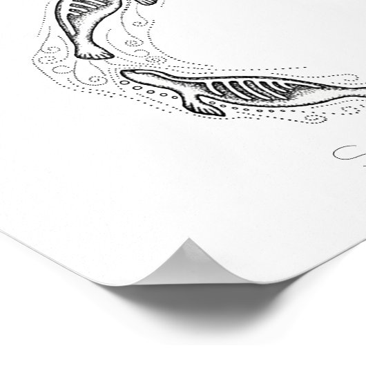 Spirale des Siegels Kunstdrucks Poster (Ecke)