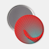 spiralförmig-Muschel Magnet (Vorderseite/Rückseite)