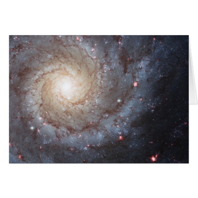 Spiralgalaxie M74 (Vorderseite (Horizontal))