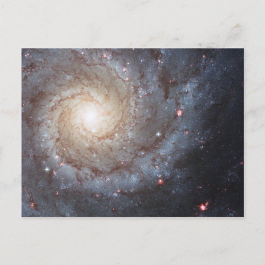 Spiralgalaxie M74 Postkarte (Vorderseite)