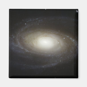 Spiralgalaxie M81 Magnet