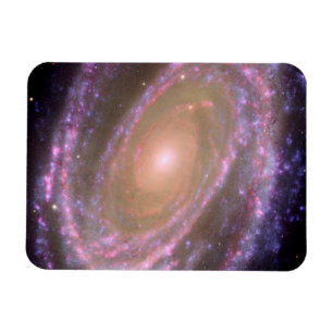 Spiralgalaxie M81 Magnet