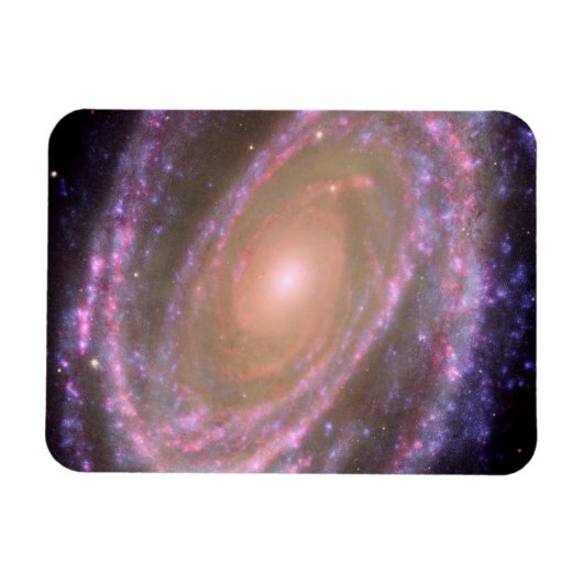 Spiralgalaxie M81 Magnet (Horizontal)