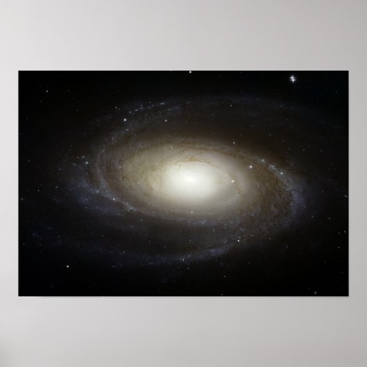 Spiralgalaxie M81 Poster (Vorne)