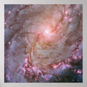 Spiralgalaxie M83, Ablaze mit Sternenbildung. Poster