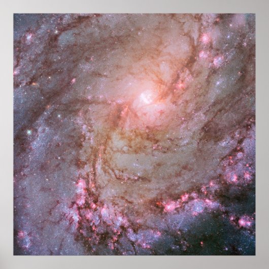 Spiralgalaxie M83, Ablaze mit Sternenbildung. Poster (Vorne)