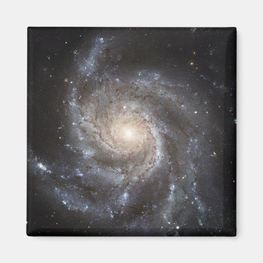 Spiralgalaxie Messier 101 Magnet (Vorne)