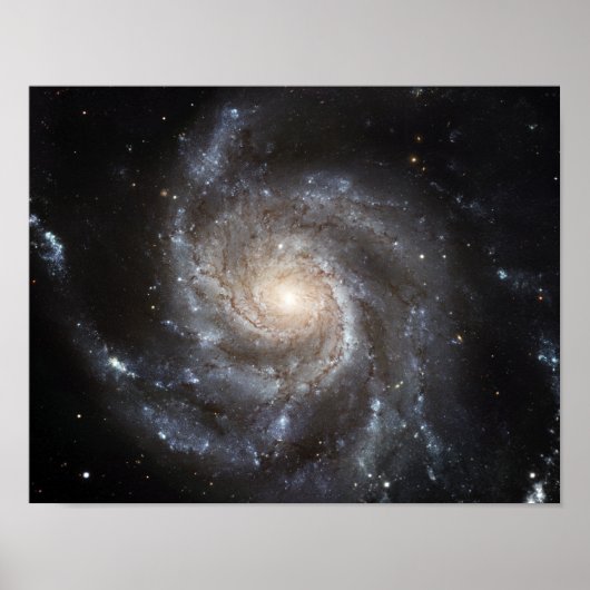 Spiralgalaxie Messier 101 Poster (Vorne)