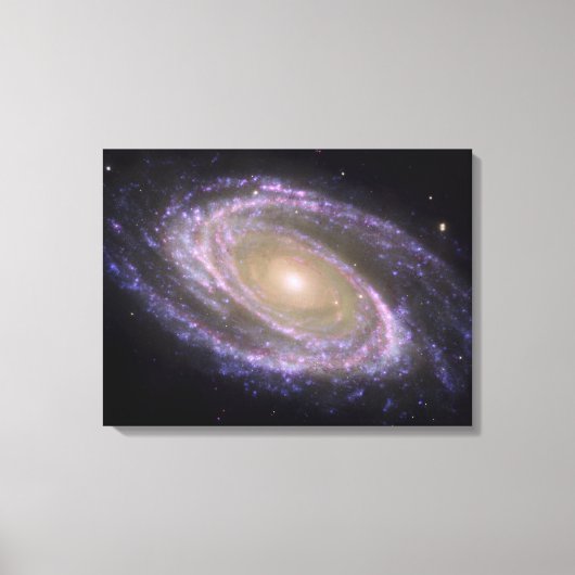 Spiralgalaxie Messier 81 Leinwanddruck (Vorderseite)