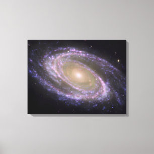 Spiralgalaxie Messier 81 Leinwanddruck