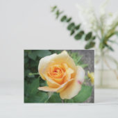 Spiralgelbe Rose Postkarte (Stehend Vorderseite)