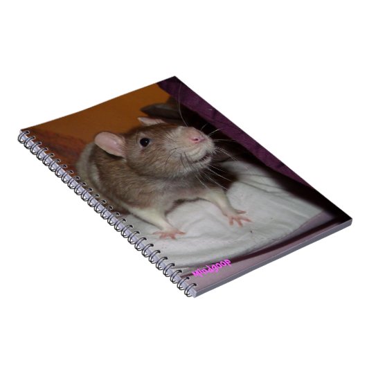 Spiralheber Notizblock (Rechte Seite)