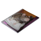 Spiralheber Notizblock (Linke Seite)