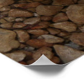 Spiralkaktus Poster (Ecke)