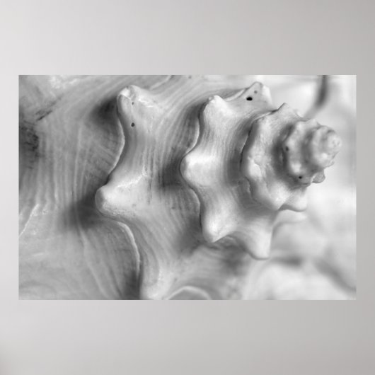 Spiralkonische Poster (Vorne)