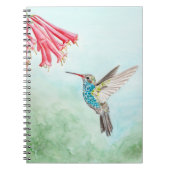 Spiralnotebook Hummingbird Notizblock (Vorderseite)
