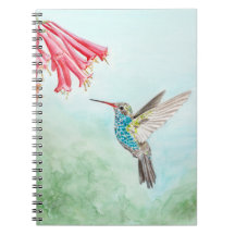 Spiralnotebook Hummingbird