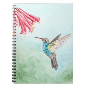 Spiralnotebook Hummingbird Notizblock