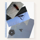 Spiralnotebook/INSECTS/MMETROPOLIM DESIGN Editor Notizblock (Vorderseite)