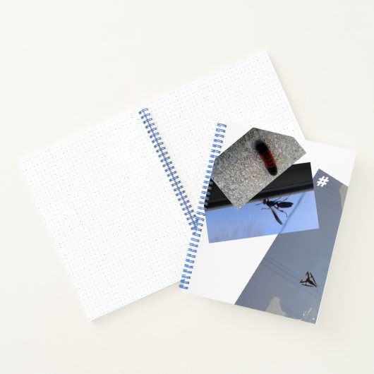 Spiralnotebook/INSECTS/MMETROPOLIM DESIGN Editor Notizblock (Innenseite)