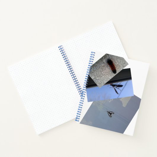 SpiralNotebook/INSECTS/MMETROPOLIM-DESIGN Notizblock (Innenseite)