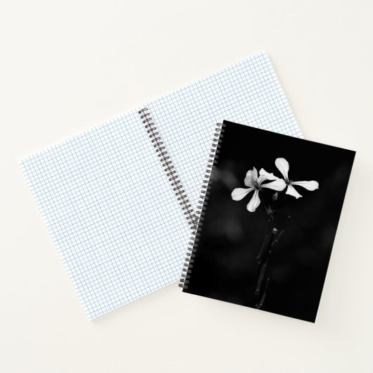 SpiralNotebook Notizblock (Innenseite)