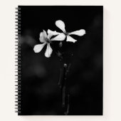 SpiralNotebook Notizblock (Vorderseite)