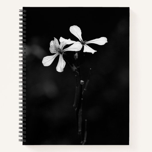 SpiralNotebook Notizblock (Vorderseite)