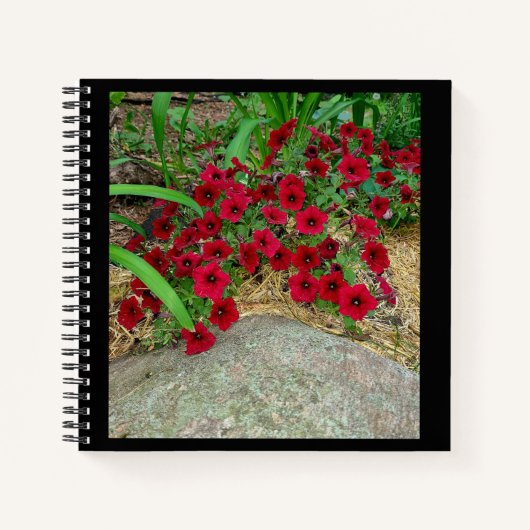 SpiralNotebook Notizblock (Vorderseite)