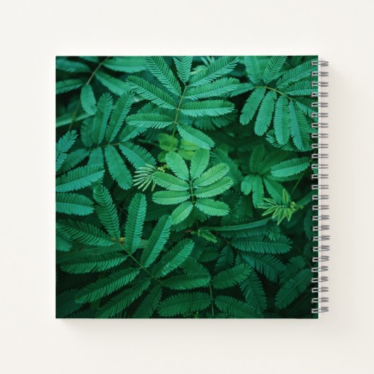 SpiralNotebook Notizblock (Rückseite)