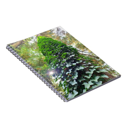 SpiralNotebook Notizblock (Rechte Seite)