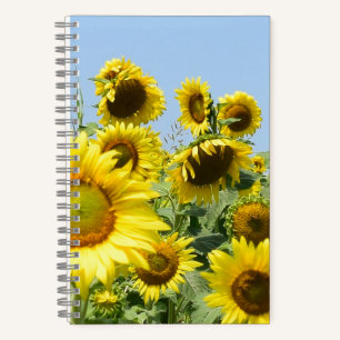 Spiralnotebook-Sonnenblumen Notizblock