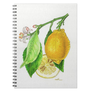 Spiralnotizbuch Zitrone “Limonier ferraris” Notizblock