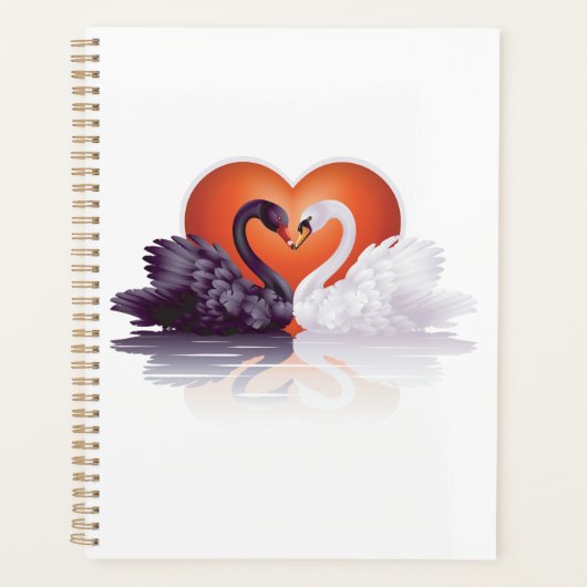 Spiralplaner für schwarze und weiße Schwäne Planer (Vorderseite)