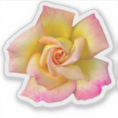 Spiralrosa Gelbe Rose Aufkleber (Vorderseite)