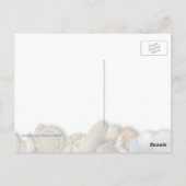 Spire Spiral Crown Muschel Fotografie Postkarte (Rückseite)