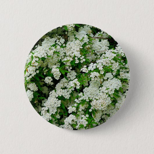 Spirea Arguta Abzeichen Button (Vorderseite)
