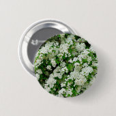 Spirea Arguta Abzeichen Button (Vorne & Hinten)